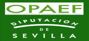 El Opaef ingresa 3,2 millones a los municipios por bonificaciones a tasa de recaudación voluntaria