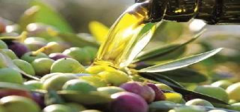 Diputación busca el mejor aceite de oliva virgen extra de la provincia y de las sierras