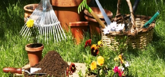 Diputación licita el suministro de equipos de jardinería por más de un millón para 107 pueblos