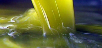 El aceite de oliva recupera su precio tras cinco años en crisis