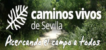 Caminos Vivos de Sevilla, acercando el campo a todos