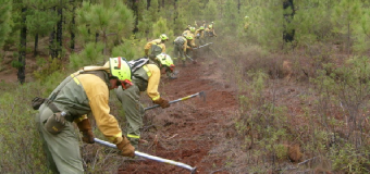 Comienza la época de alto peligro de incendios forestales