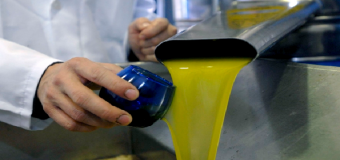 El aceite de oliva virgen extra en origen se dispara cerca de los 4 euros.