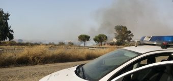 La Policía Local interviene en la extinción de un incendio a pie de la A-49