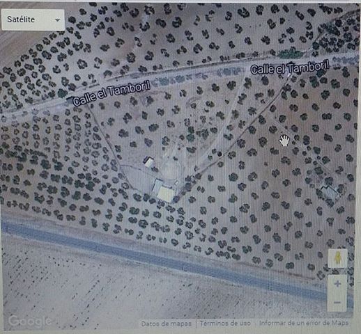 FOTO: imagen satélite google map