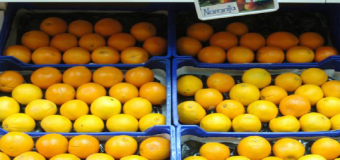 Precios “desalentadores” en la campaña de naranjas
