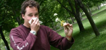 Estrategias y consejos para evitar en la medida de lo posible todo aquello que nos produzca alergia