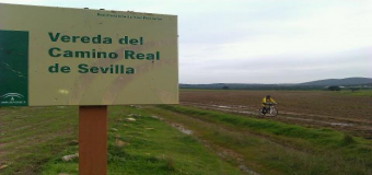 Solicitan que el Camino Real hasta Sevilla sea recuperado