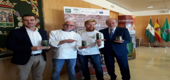 La Diputación lanza la II Semana Gastronómica de la Aceituna de Mesa Sevillana desde el lunes