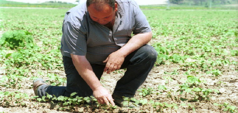 Un agricultor en una finca agrícola. / Miguel Mesa