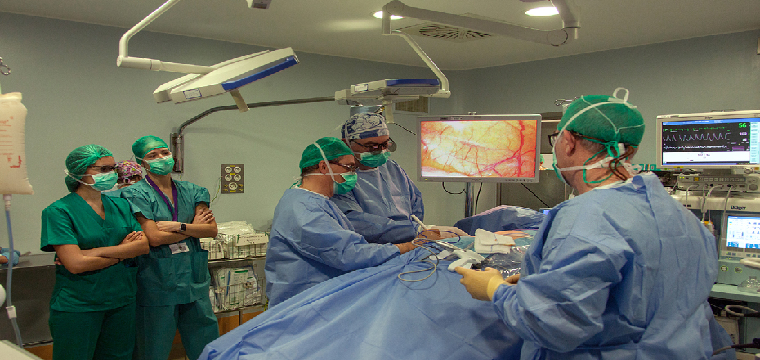 Profesionales del Servicio Andaluz de Salud realizan un trasplante de riñón, uno de los órganos que garantiza una donación en asistolia.
