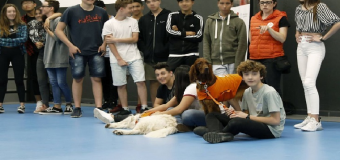 La escuela Lleó XIII arranca un programa para prevenir el bullying mediante terapia con perros