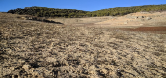 Greenpeace alerta que las últimas lluvias no serán el fin de la desertificación y la sequía en España