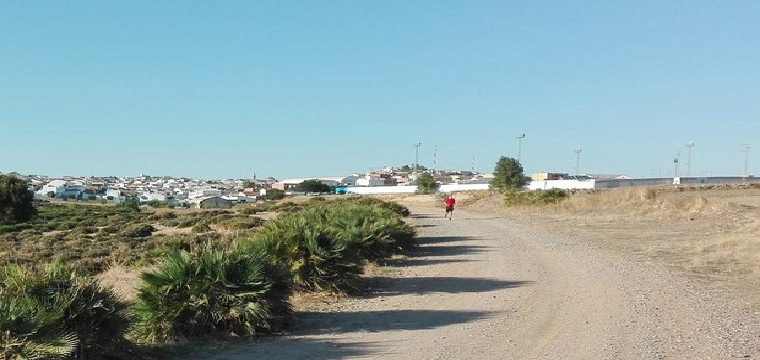 Uno de los caminos en Aznalcóllar donde se han encontrado cadáveres de canes - ABC 