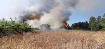 El Infoca trabaja en un incendio forestal en el Corredor Verde del Guadiamar entre Sanlúcar La Mayor y Huévar