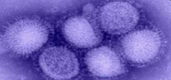 Covid-19, el virus que engullo a la gripe