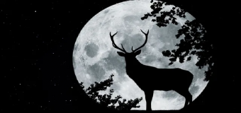 Llega la luna llena ‘del ciervo’
